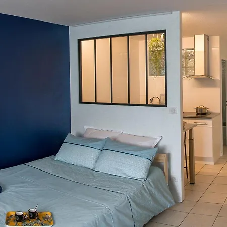 Cosy Cahors- Proche Gare Et Centre-ville 公寓 卡奥尔